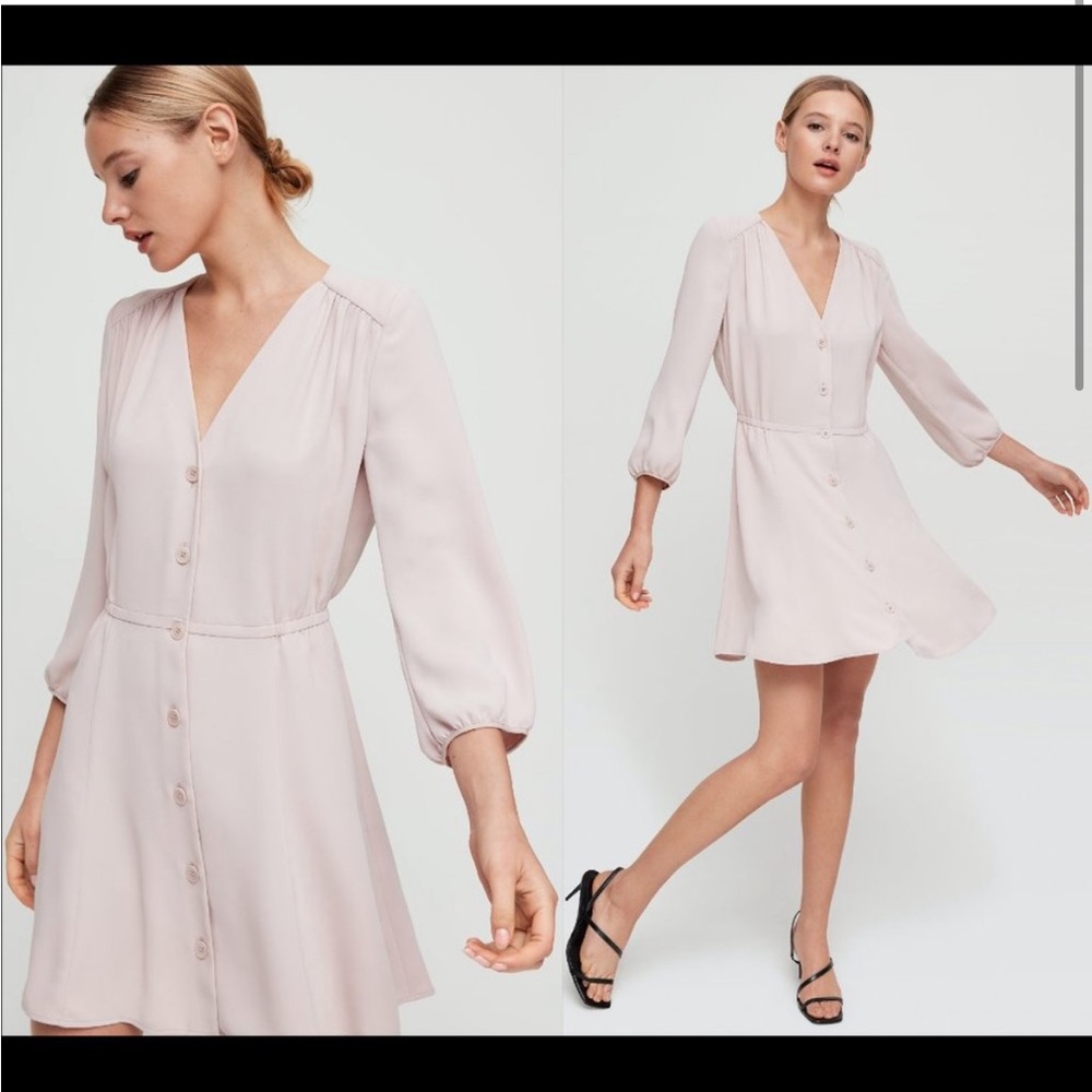 Aritzia Babaton DAY dress